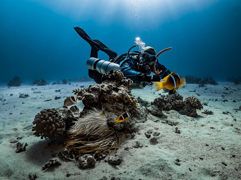 Night Snorkeling