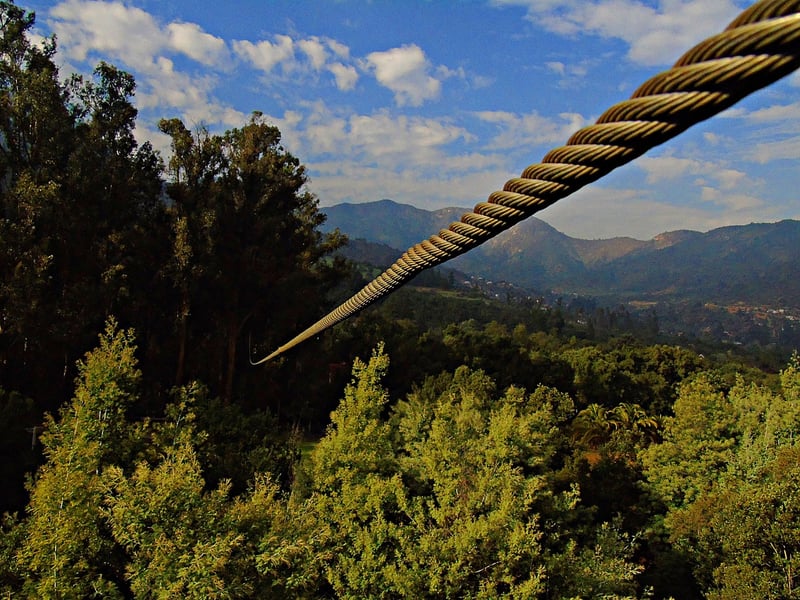 Zip-lining in nature